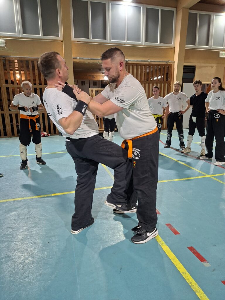 Krav savoie